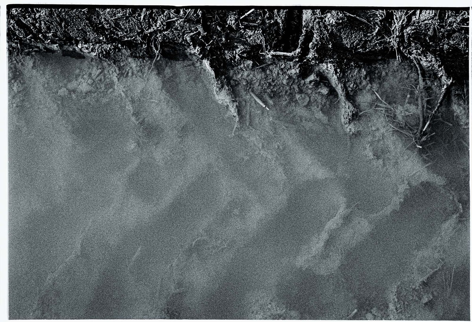 Flooded Field 31