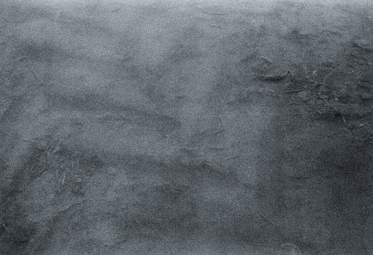 Flooded Field 11