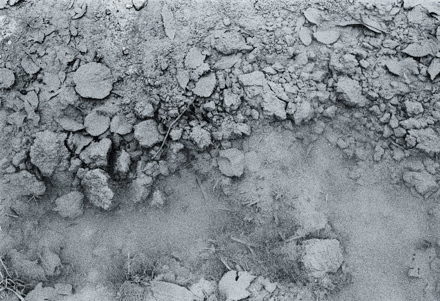 Flooded Field 15