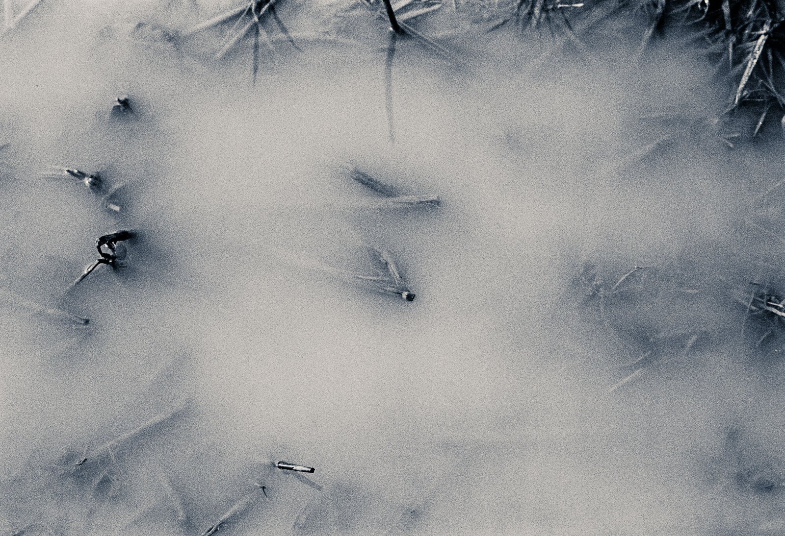 Flooded Field 74