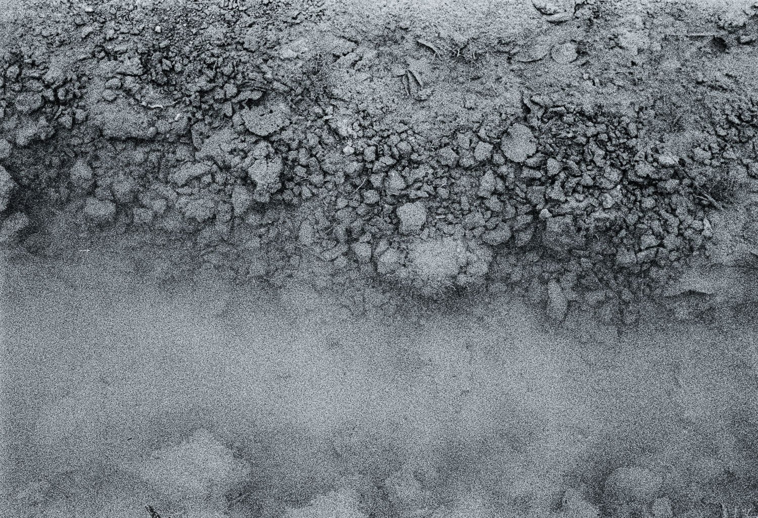 Flooded Field 14