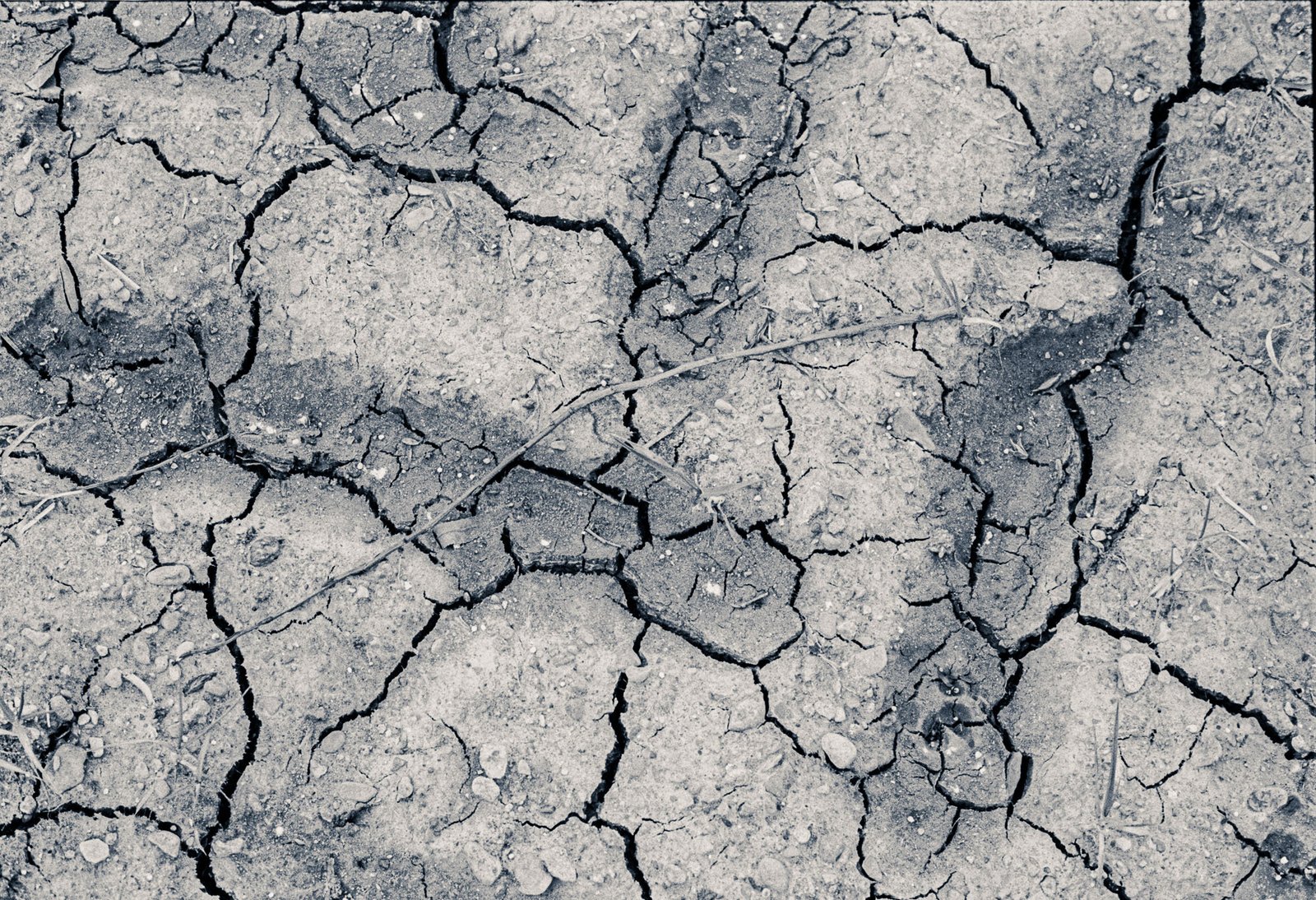 Flooded Field 47