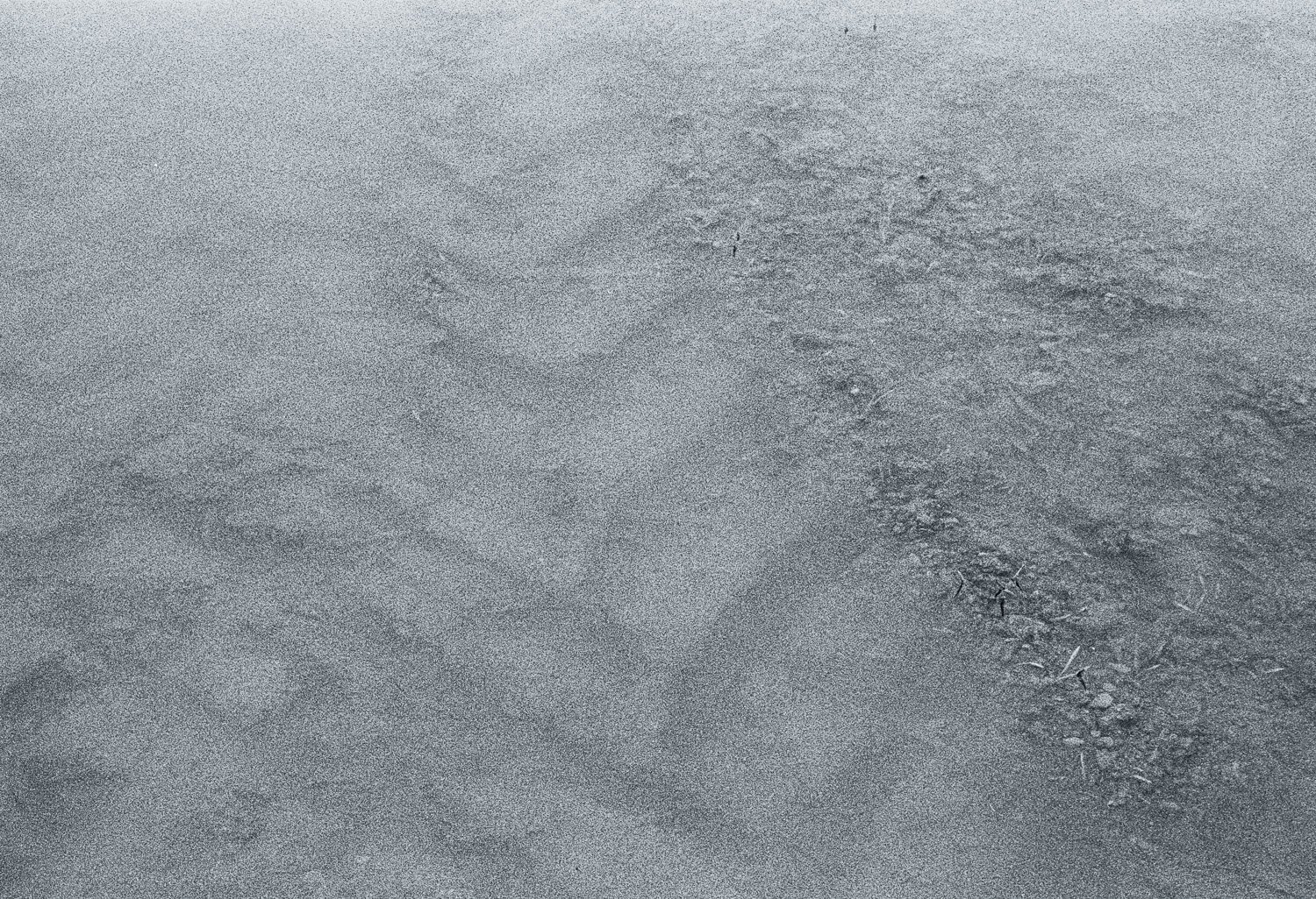Flooded Field 7