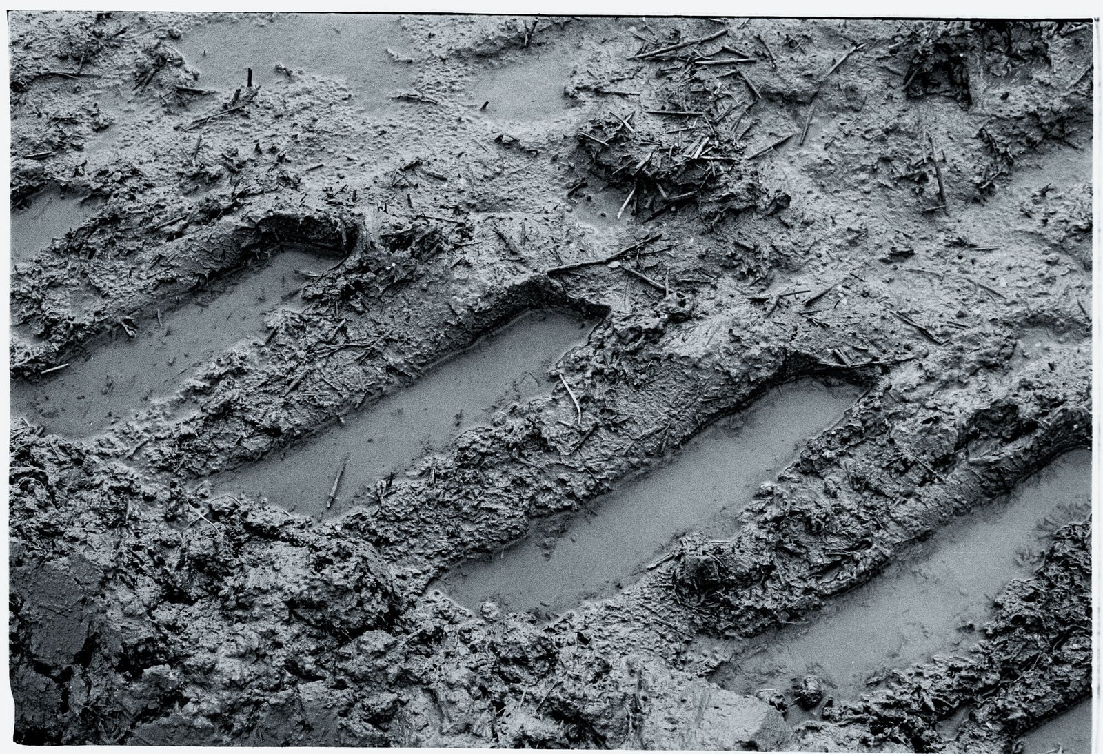 Flooded Field 33