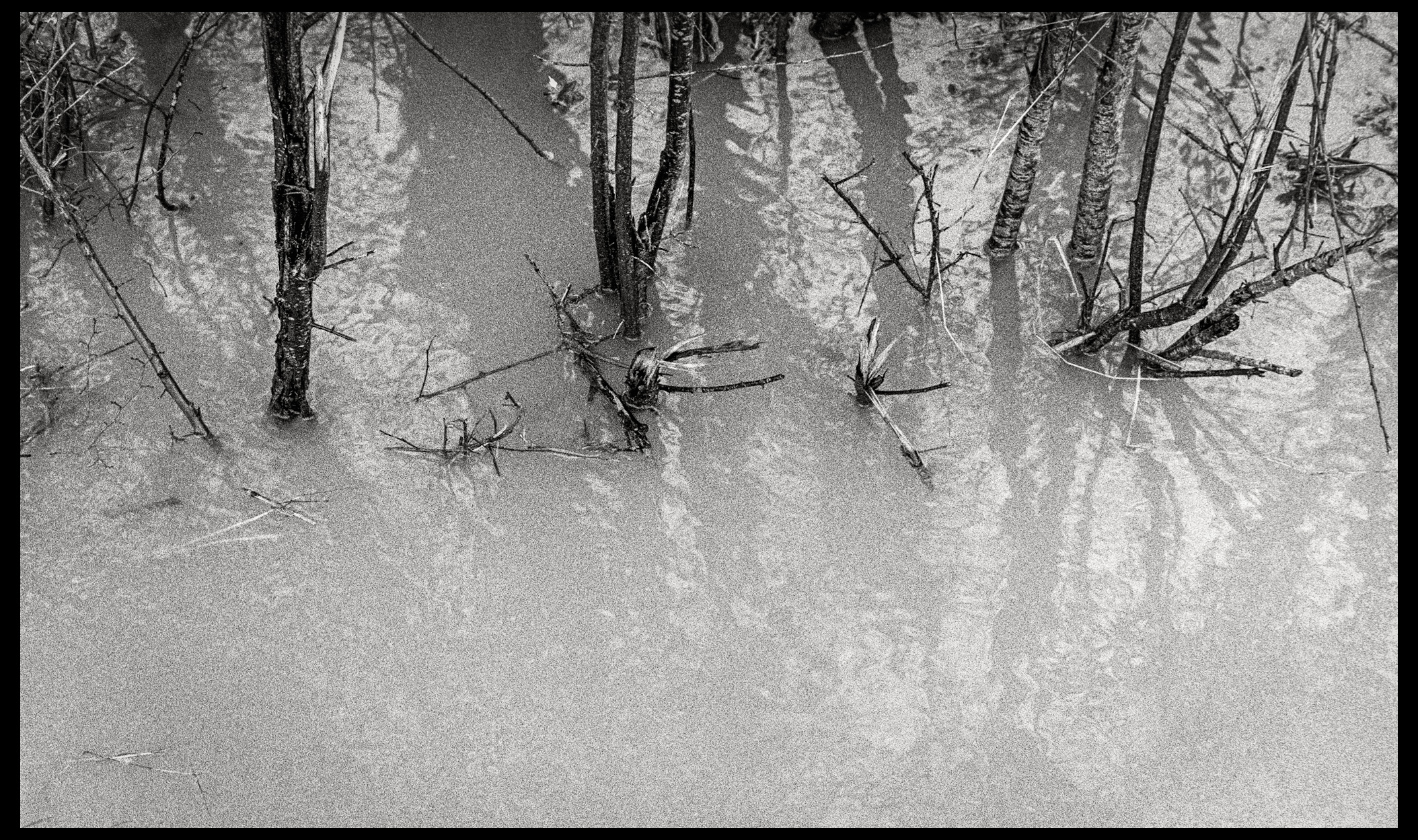 The surface of water, film grain, and the search for the perfect neg scan