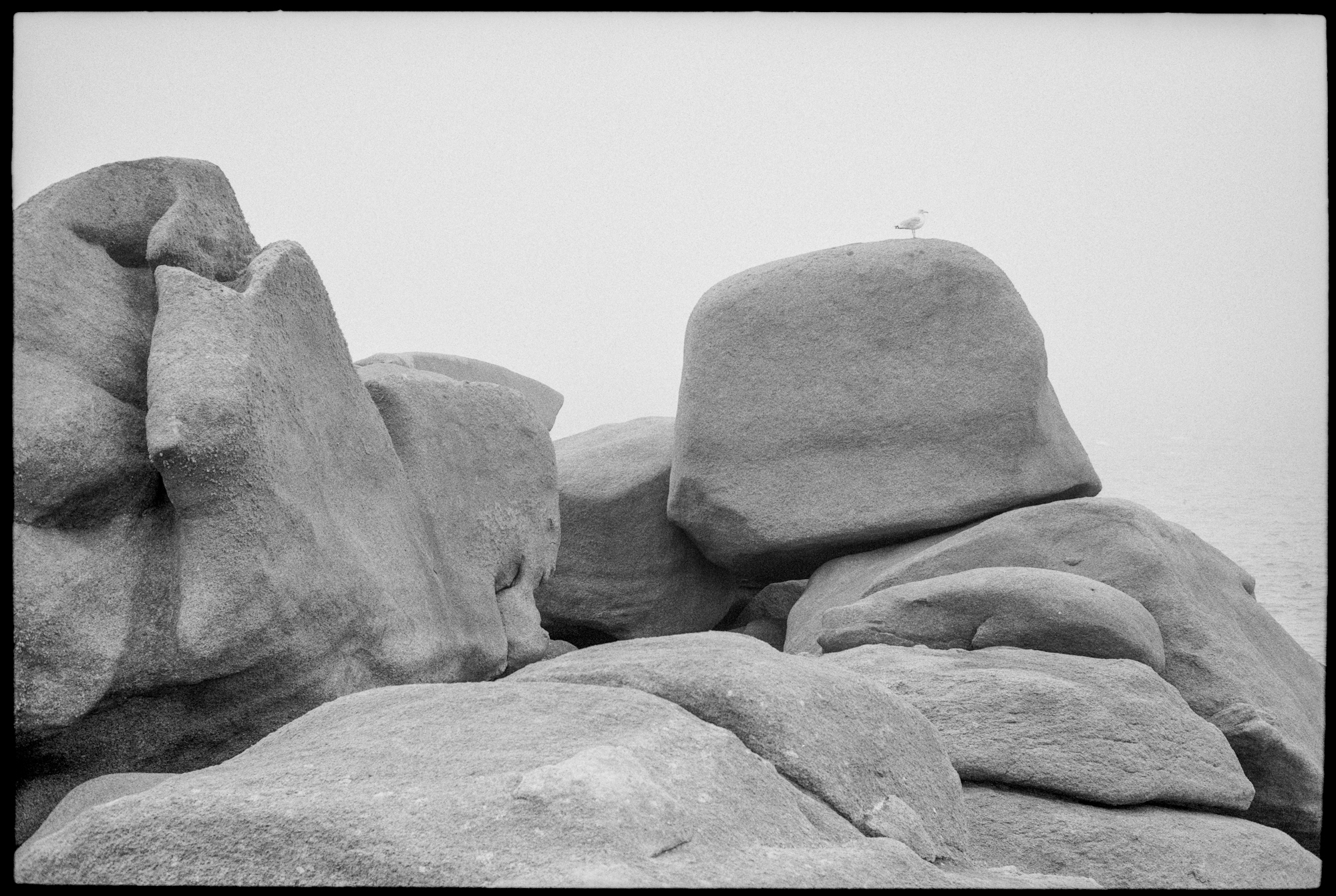 5 Frames of the Brittany Granite Coast on Delta 100 in Rodinal