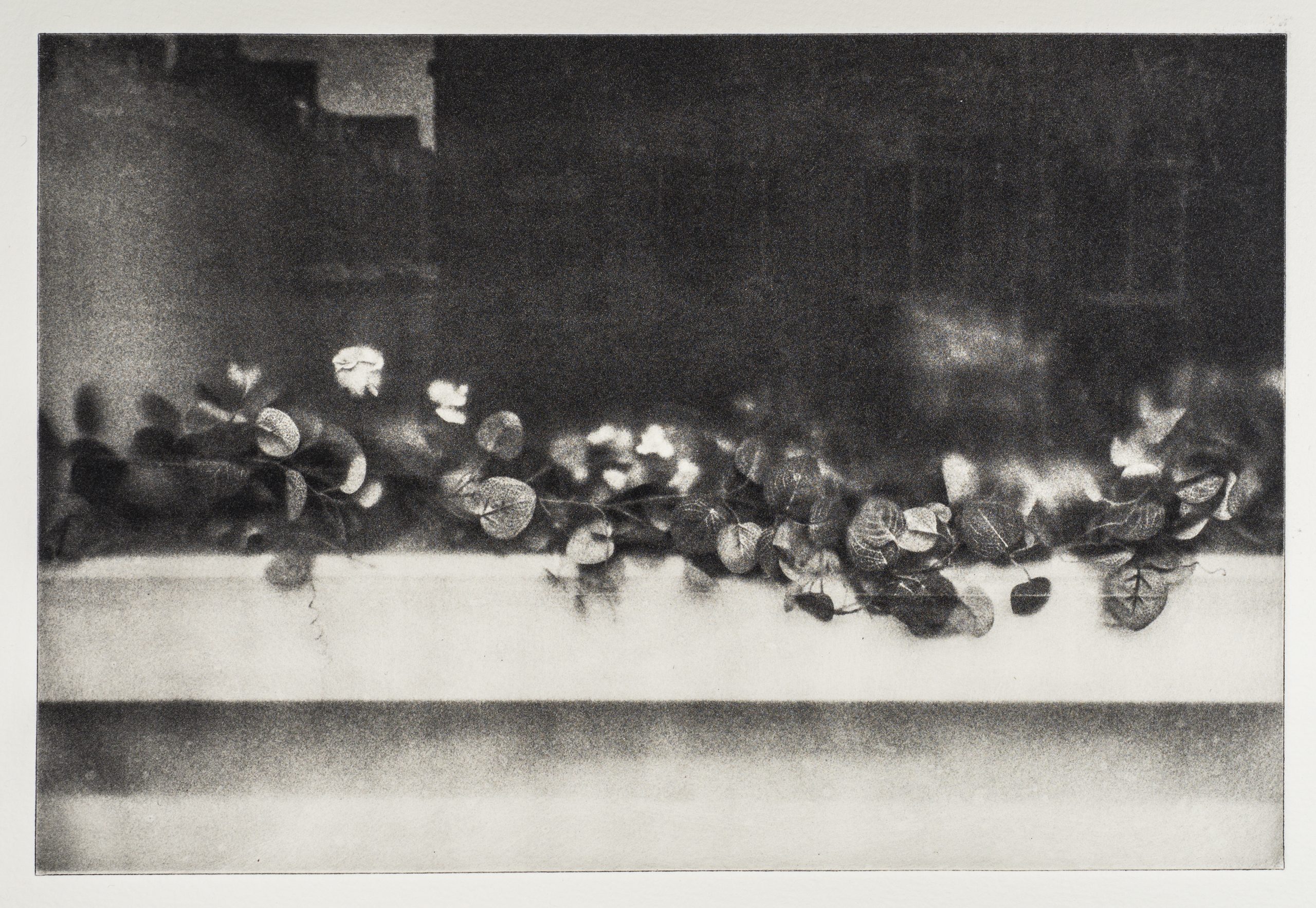 The Polymer Photogravure Process (an overview of my experiences)